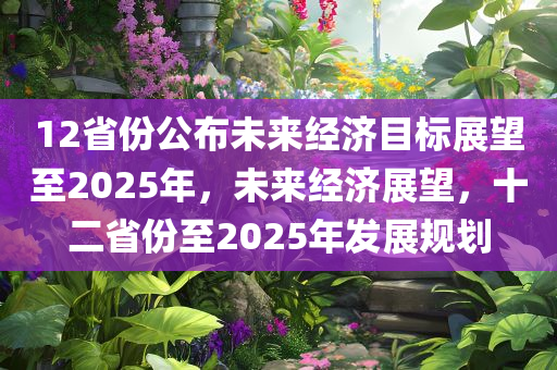 12省份公布未来经济目标展望至2025年，未来经济展望，十二省份至2025年发展规划