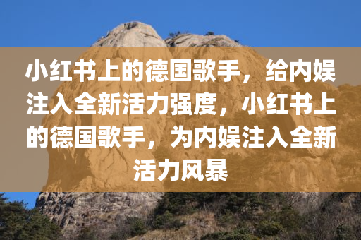 小红书上的德国歌手，给内娱注入全新活力强度，小红书上的德国歌手，为内娱注入全新活力风暴