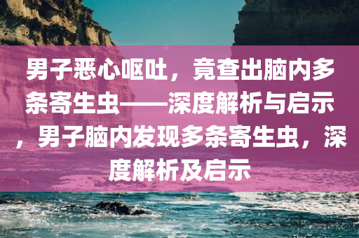 男子恶心呕吐，竟查出脑内多条寄生虫——深度解析与启示，男子脑内发现多条寄生虫，深度解析及启示
