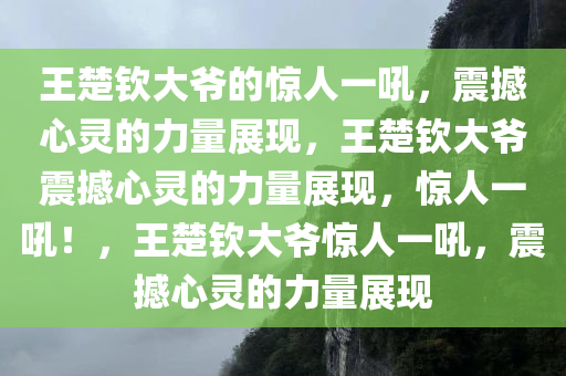 王楚钦大爷的惊人一吼，震撼心灵的力量展现，王楚钦大爷震撼心灵的力量展现，惊人一吼！，王楚钦大爷惊人一吼，震撼心灵的力量展现