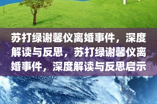 苏打绿谢馨仪离婚事件，深度解读与反思，苏打绿谢馨仪离婚事件，深度解读与反思启示