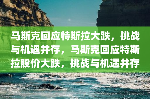 马斯克回应特斯拉大跌，挑战与机遇并存，马斯克回应特斯拉股价大跌，挑战与机遇并存
