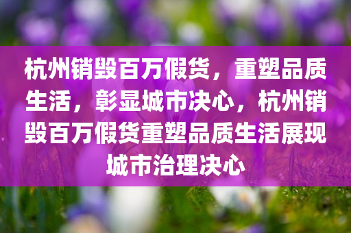 杭州销毁百万假货，重塑品质生活，彰显城市决心，杭州销毁百万假货重塑品质生活展现城市治理决心