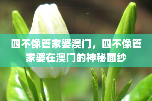 四不像管家婆澳门，四不像管家婆在澳门的神秘面纱