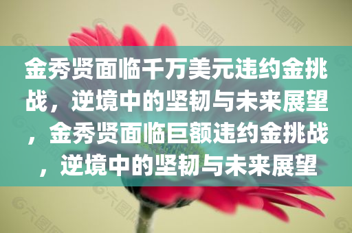 金秀贤面临千万美元违约金挑战，逆境中的坚韧与未来展望，金秀贤面临巨额违约金挑战，逆境中的坚韧与未来展望