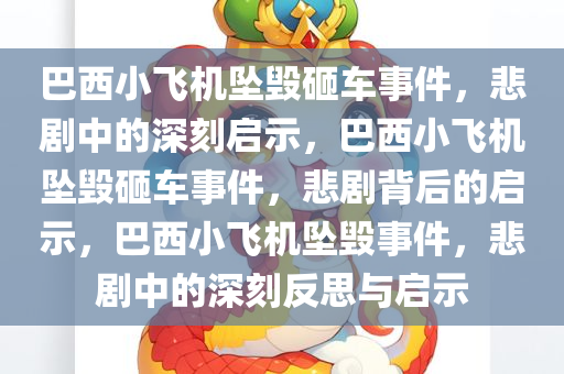 巴西小飞机坠毁砸车事件，悲剧中的深刻启示，巴西小飞机坠毁砸车事件，悲剧背后的启示，巴西小飞机坠毁事件，悲剧中的深刻反思与启示