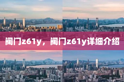 阀门z61y，阀门z61y详细介绍