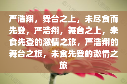 严浩翔，舞台之上，未尽食而先登，严浩翔，舞台之上，未食先登的激情之旅，严浩翔的舞台之旅，未食先登的激情之旅