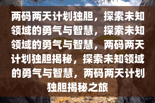 两码两天计划独胆，探索未知领域的勇气与智慧，探索未知领域的勇气与智慧，两码两天计划独胆揭秘，探索未知领域的勇气与智慧，两码两天计划独胆揭秘之旅