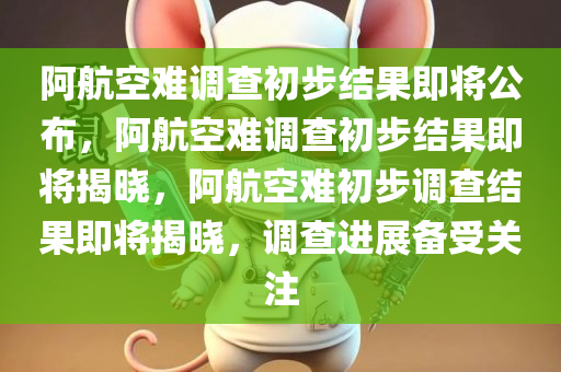 阿航空难调查初步结果即将公布，阿航空难调查初步结果即将揭晓，阿航空难初步调查结果即将揭晓，调查进展备受关注