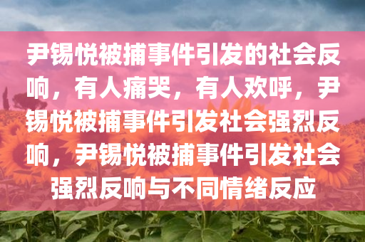 尹锡悦被捕事件引发的社会反响，有人痛哭，有人欢呼，尹锡悦被捕事件引发社会强烈反响，尹锡悦被捕事件引发社会强烈反响与不同情绪反应