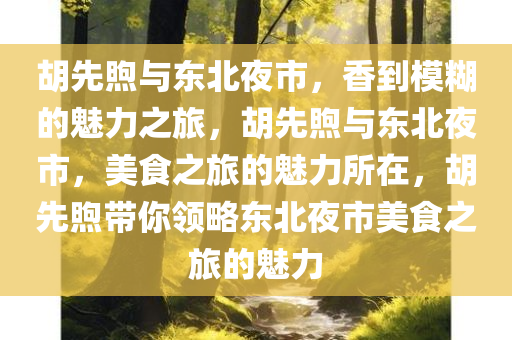 胡先煦与东北夜市，香到模糊的魅力之旅，胡先煦与东北夜市，美食之旅的魅力所在，胡先煦带你领略东北夜市美食之旅的魅力