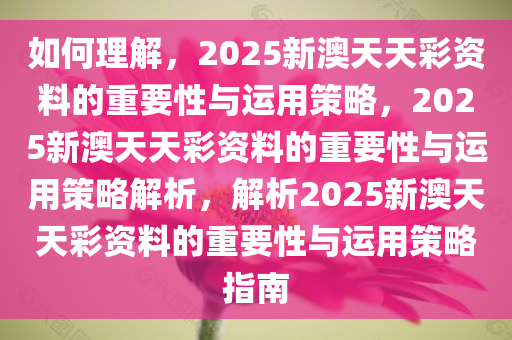 如何理解，2025新澳天天彩资料的重要性与运用策略，2025新澳天天彩资料的重要性与运用策略解析，解析2025新澳天天彩资料的重要性与运用策略指南