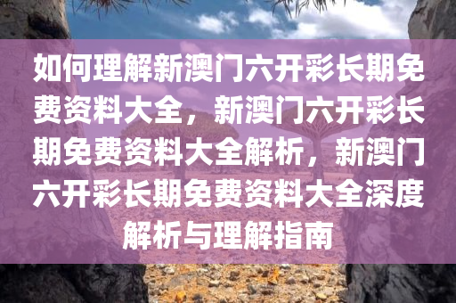 如何理解新澳门六开彩长期免费资料大全，新澳门六开彩长期免费资料大全解析，新澳门六开彩长期免费资料大全深度解析与理解指南