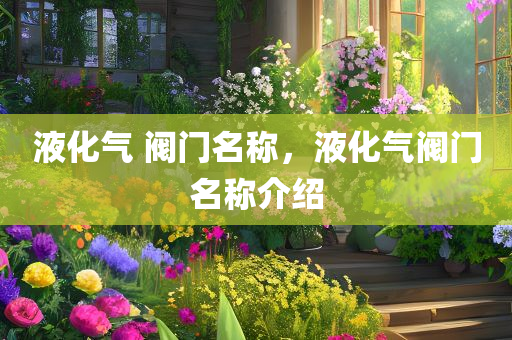 液化气 阀门名称，液化气阀门名称介绍