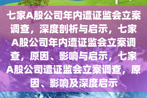 七家A股公司年内遭证监会立案调查，深度剖析与启示，七家A股公司年内遭证监会立案调查，原因、影响与启示，七家A股公司遭证监会立案调查，原因、影响及深度启示