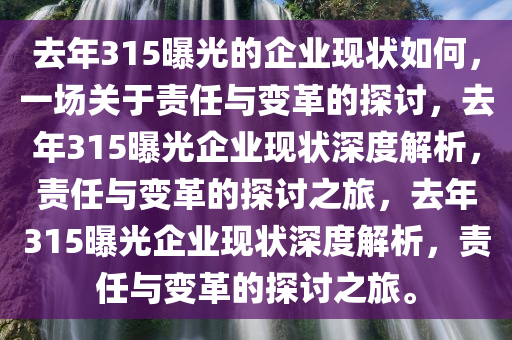 去年315曝光的企业现状如何，一场关于责任与变革的探讨，去年315曝光企业现状深度解析，责任与变革的探讨之旅，去年315曝光企业现状深度解析，责任与变革的探讨之旅。