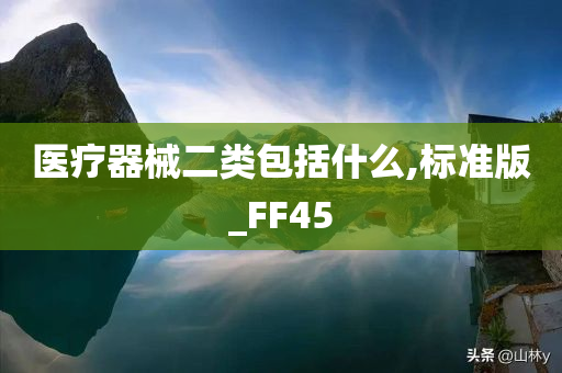 医疗器械二类包括什么,标准版_FF45