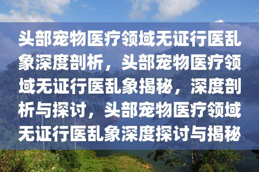 头部宠物医疗领域无证行医乱象深度剖析，头部宠物医疗领域无证行医乱象揭秘，深度剖析与探讨，头部宠物医疗领域无证行医乱象深度探讨与揭秘