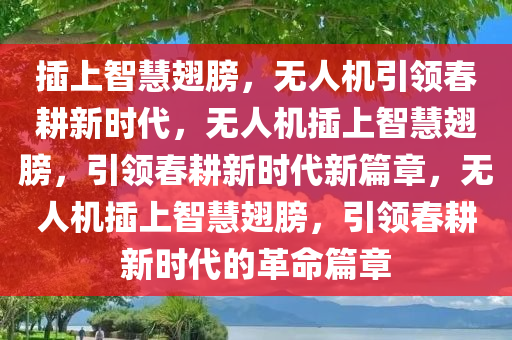 插上智慧翅膀，无人机引领春耕新时代，无人机插上智慧翅膀，引领春耕新时代新篇章，无人机插上智慧翅膀，引领春耕新时代的革命篇章