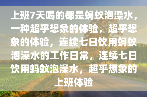 上班7天喝的都是蚂蚁泡澡水，一种超乎想象的体验，超乎想象的体验，连续七日饮用蚂蚁泡澡水的工作日常，连续七日饮用蚂蚁泡澡水，超乎想象的上班体验