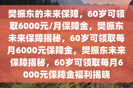樊振东的未来保障，60岁可领取6000元/月保障金，樊振东未来保障揭秘，60岁可领取每月6000元保障金，樊振东未来保障揭秘，60岁可领取每月6000元保障金福利揭晓