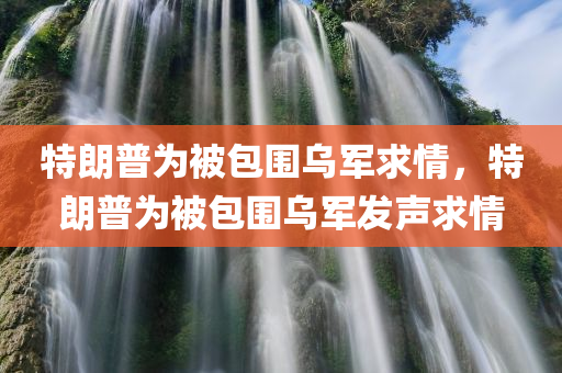 特朗普为被包围乌军求情，特朗普为被包围乌军发声求情，特朗普为被包围的乌克兰军队发声求情