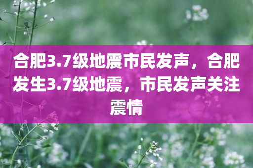 合肥3.7级地震市民发声，合肥发生3.7级地震，市民发声关注震情，合肥发生3.7级地震，市民发声关注震情震动全城
