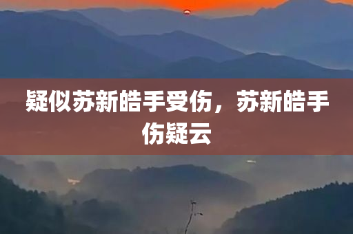 疑似苏新皓手受伤，苏新皓手伤疑云，苏新皓手受伤疑云揭秘