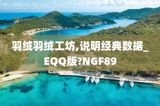 羽绒羽绒工坊,说明经典数据_EQQ版?NGF89