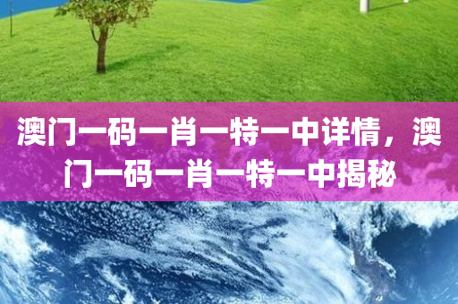 澳门一码一肖一特一中详情，澳门一码一肖一特一中揭秘，澳门一码一肖一特一中揭秘与详细解析