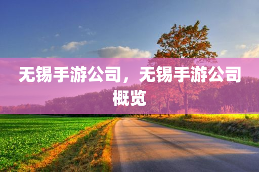 无锡手游公司，无锡手游公司概览
