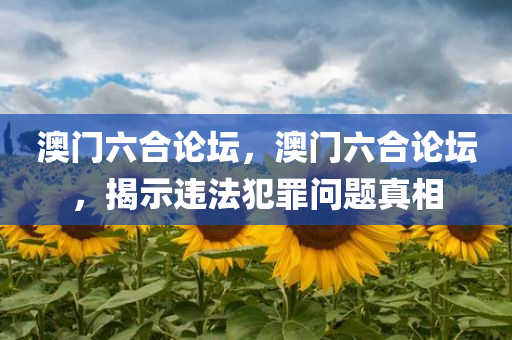 澳门六合论坛，澳门六合论坛，揭示违法犯罪问题真相