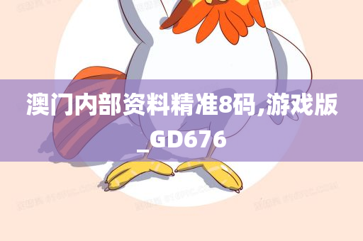 澳门内部资料精准8码,游戏版_GD676