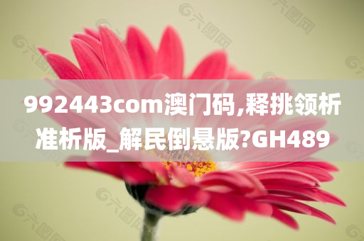 992443com澳门码,释挑领析准析版_解民倒悬版?GH489