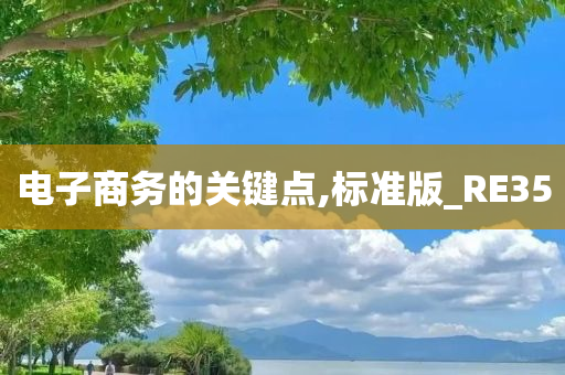 电子商务的关键点,标准版_RE35