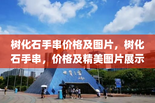 树化石手串价格及图片，树化石手串，价格及精美图片展示
