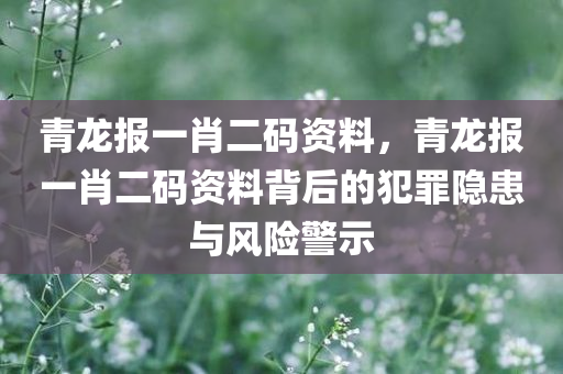 青龙报一肖二码资料，青龙报一肖二码资料背后的犯罪隐患与风险警示