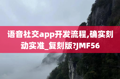 语音社交app开发流程,确实刻动实准_复刻版?JMF56