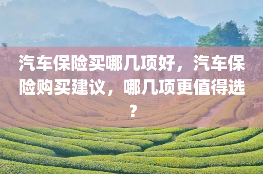 汽车保险买哪几项好，汽车保险购买建议，哪几项更值得选？