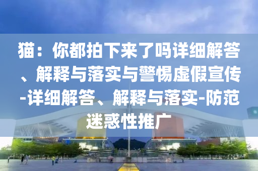 貓：你都拍下來(lái)了嗎詳細(xì)解答、解釋與落實(shí)與警惕虛假宣傳-詳細(xì)解答、解釋與落實(shí)-防范迷惑性推廣