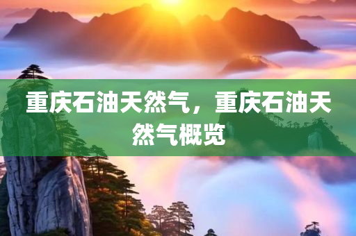 重庆石油天然气，重庆石油天然气概览