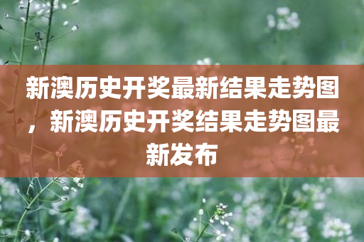 新澳历史开奖最新结果走势图，新澳历史开奖结果走势图最新发布