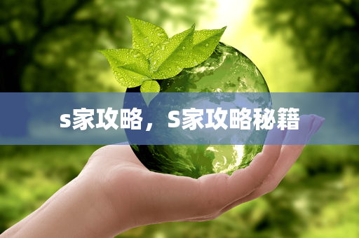 s家攻略，S家攻略秘籍