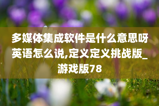 多媒体集成软件是什么意思呀英语怎么说,定义定义挑战版_游戏版78