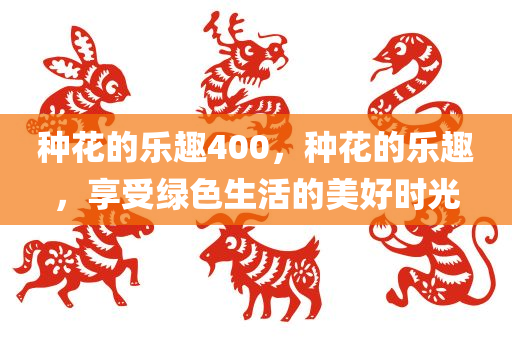 种花的乐趣400，种花的乐趣，享受绿色生活的美好时光