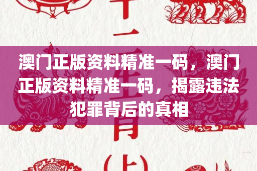 澳门正版资料精准一码，澳门正版资料精准一码，揭露违法犯罪背后的真相