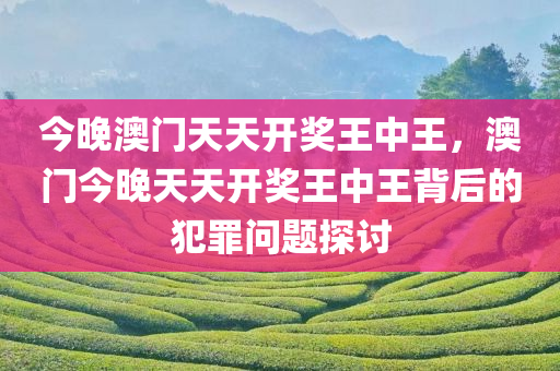 今晚澳门天天开奖王中王，澳门今晚天天开奖王中王背后的犯罪问题探讨