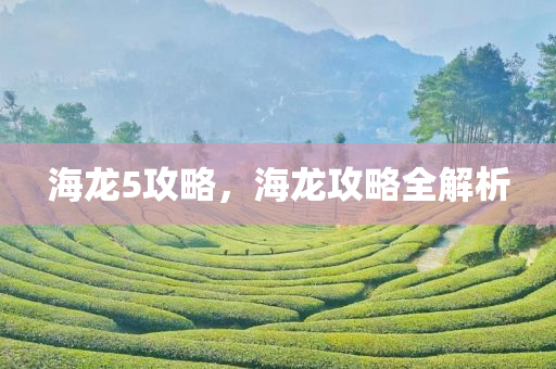 海龙5攻略，海龙攻略全解析