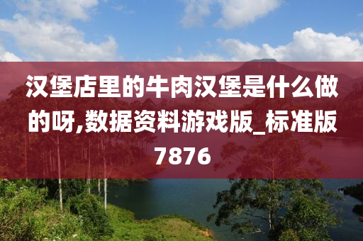 汉堡店里的牛肉汉堡是什么做的呀,数据资料游戏版_标准版7876